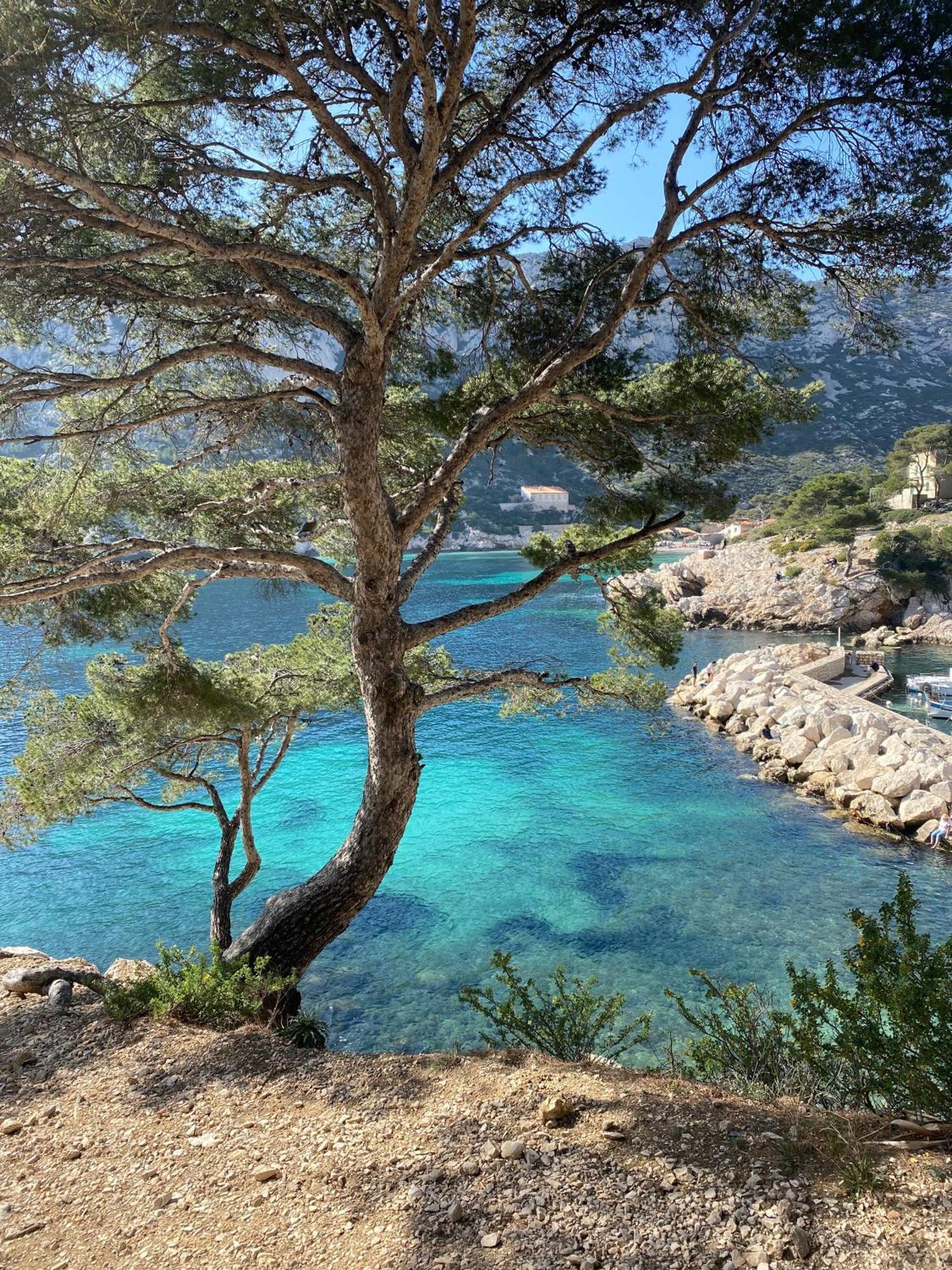 Appartement Lumineux Proche Calanques مارسيليا المظهر الخارجي الصورة